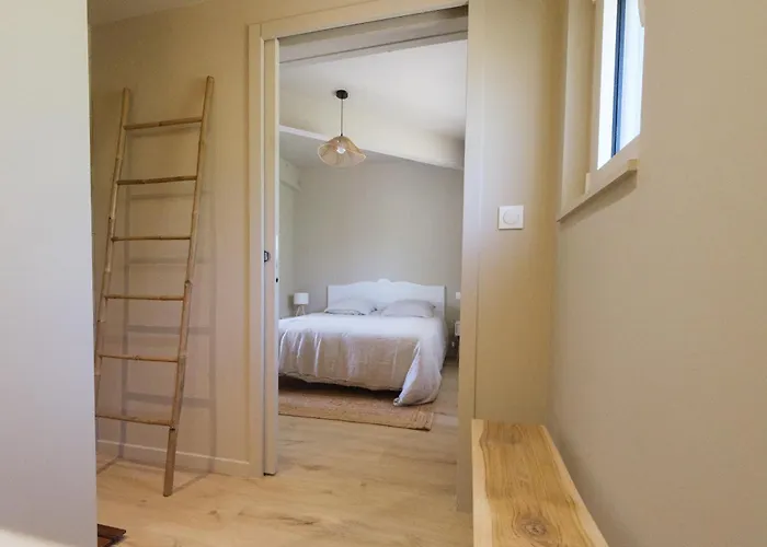 Le De La Clairiere Saint-Andre-d'Allas