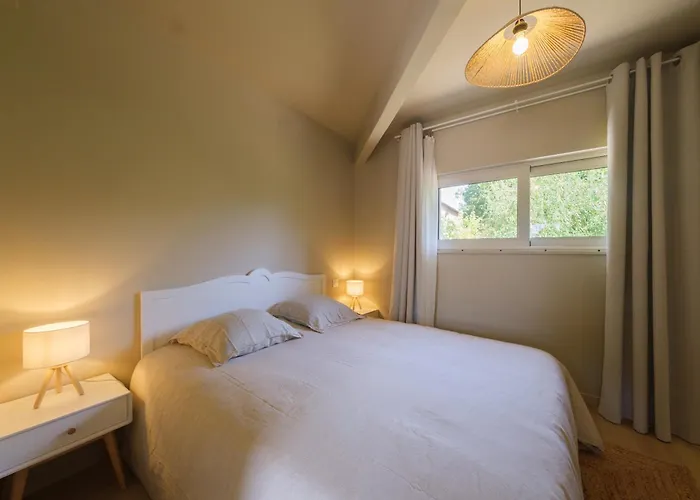 Le De La Clairiere Saint-Andre-d'Allas